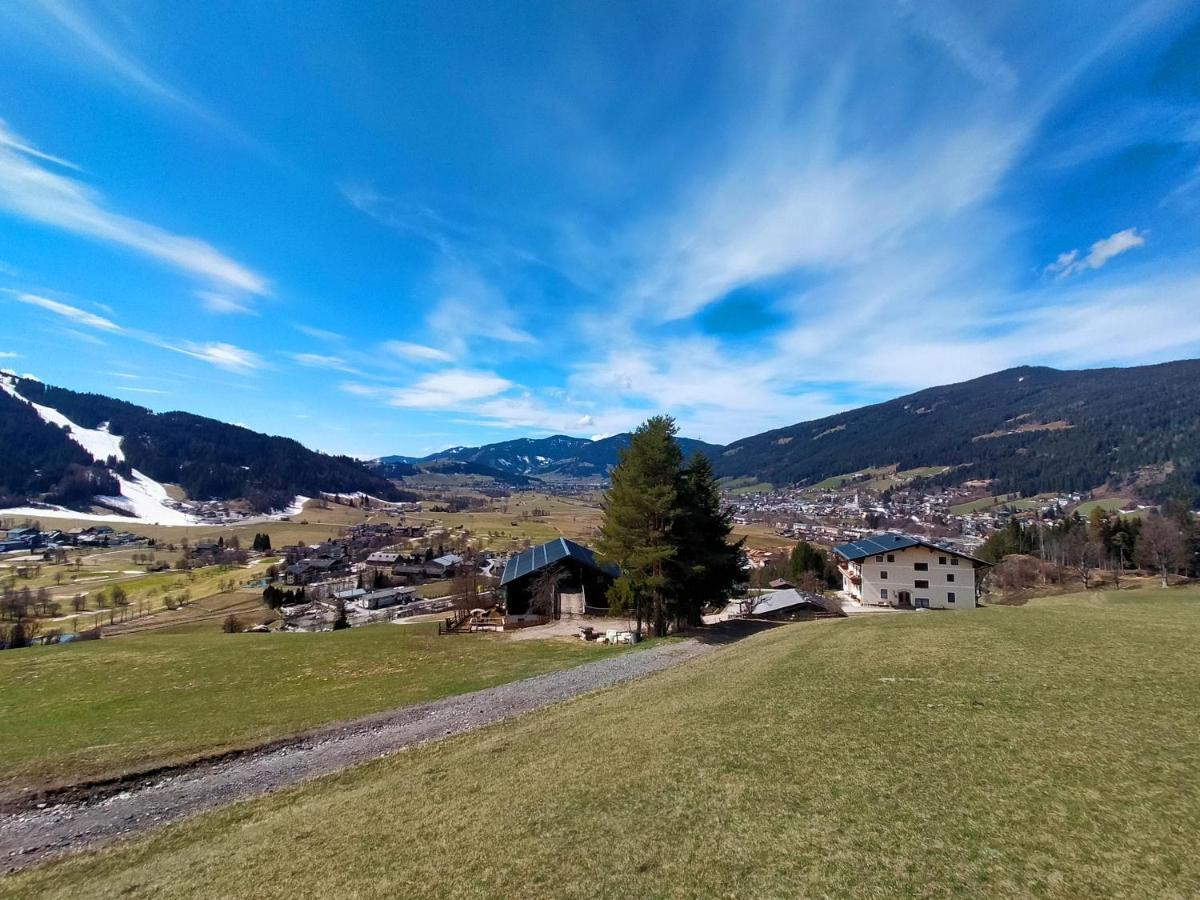 Sauschneidhof - Radstadt Luaran gambar