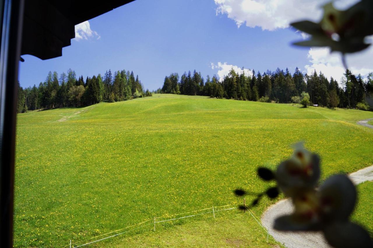 Sauschneidhof - Radstadt Luaran gambar